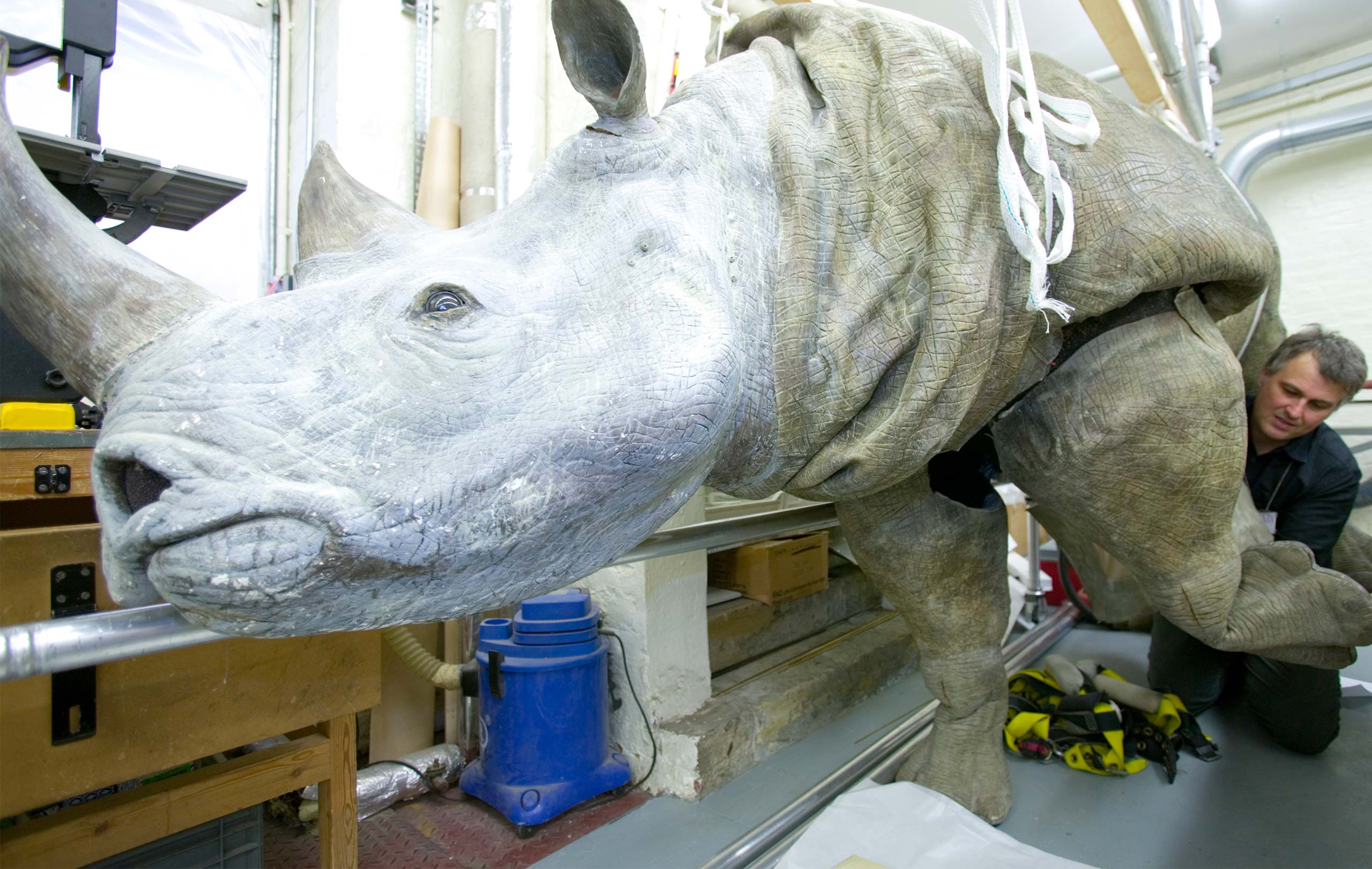 V A Conservation Collections Care Technicians Diploma V A Conservation Collections Care Technicians Diploma