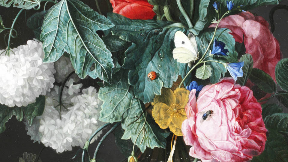 V&A · The conservation of Flowers in a Glass Vase by Jacob van Walscapelle (1667)