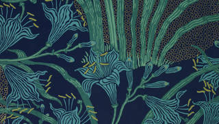 Thursday Curator Talk: Frida Kahlo: Making Her Self Up photo