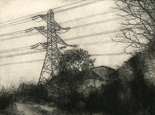 Tom spooner