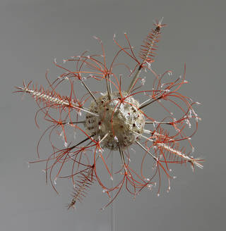 Lyc haeckel ii, 2015, vellum, dyed vellum, armature, approx. 350mm in diameter