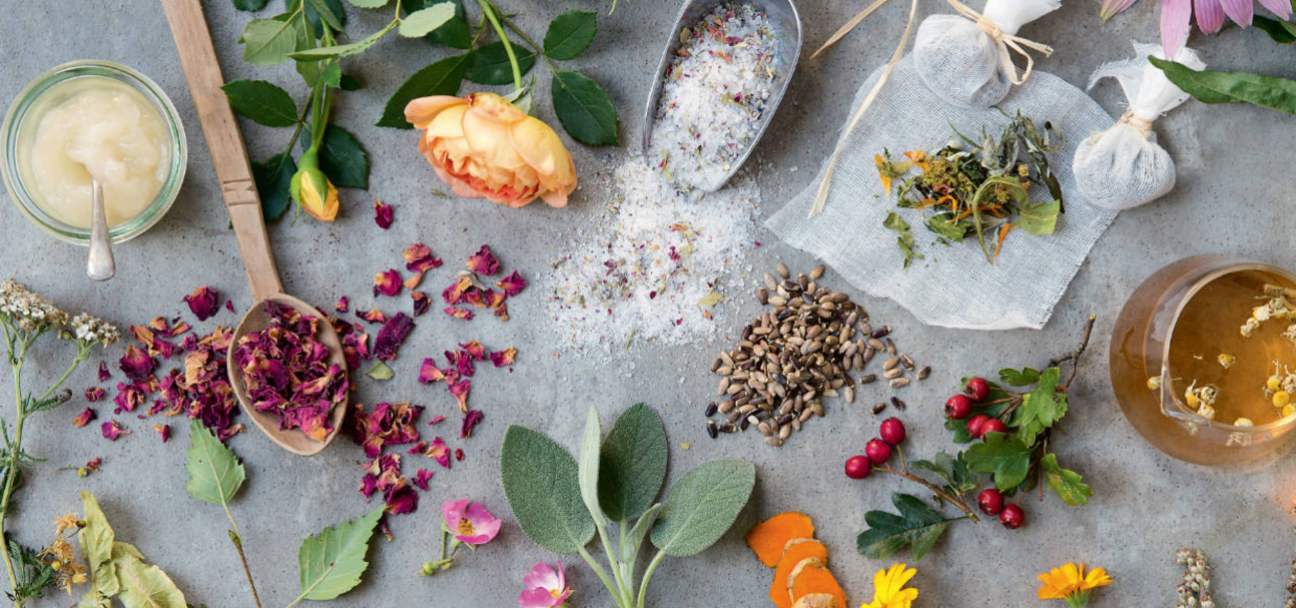 V&A · Plants & Potions Botanical Cocktail Tasting