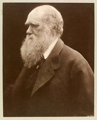photograph