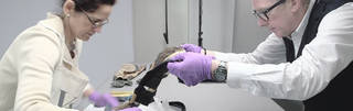 Conservation & Collections Care Technicians Diploma