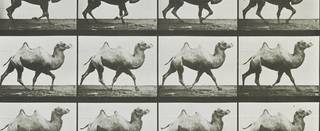 Collecting Photography: From Daguerreotype to Digital photo