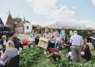 Community of people picking hops. Gazeebo, brown building with pointed roofs in background