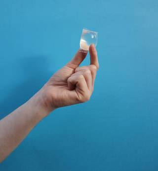 Hand holding up an edible translucent water pod. Blue background