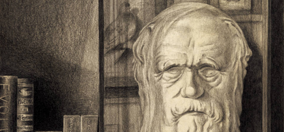 V&A · Lunchtime Lecture: Unnatural Selection: Evolution at the Hand of Man