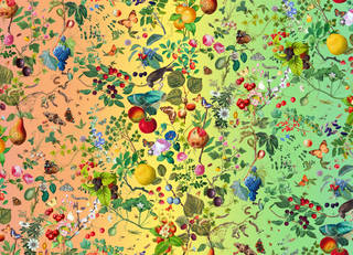Rainbow gradient background from orange to yellow to green. Birds, butterflies and fruit - pomegranate, apple, berries on top