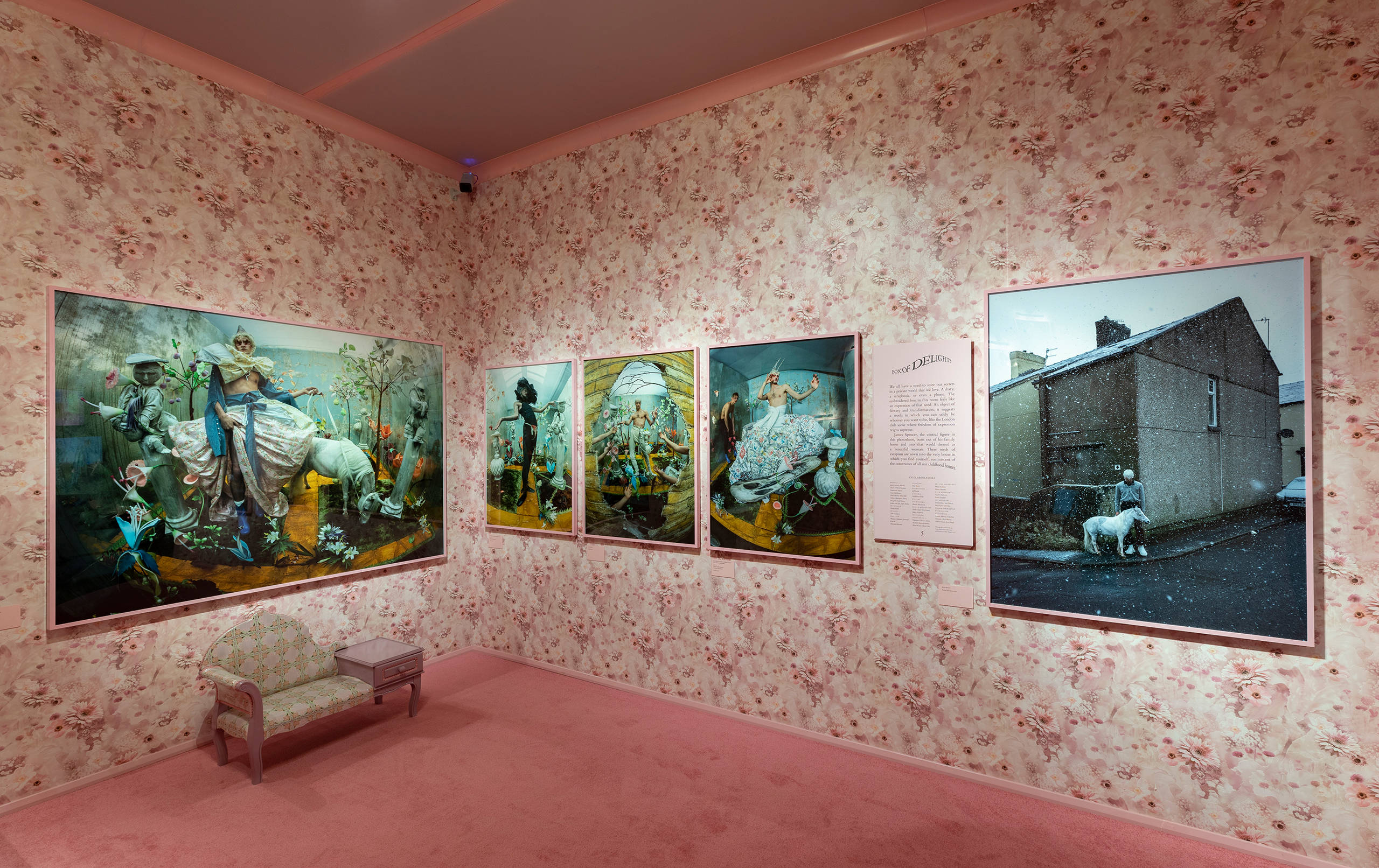 Inside the Tim Walker Wonderful Things exhibition · V&A