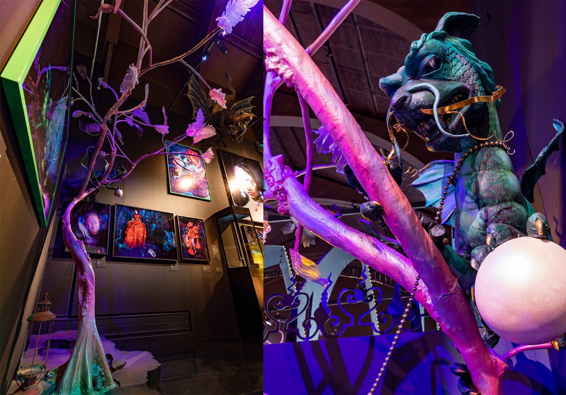 Inside the Tim Walker Wonderful Things exhibition · V&A