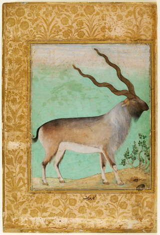 Painting, Himalayan wild goat