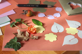 Leaves, coloured paper shapes, pencil, and card, spread out to start the activity
