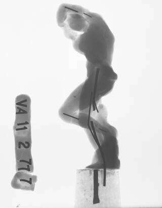 Grey and white x-ray image of a sculpture showing pins inside it to hold it together