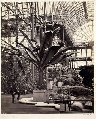 Interior of Crystal Palace
