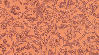 Insects, frogs and floral motifs on peach background