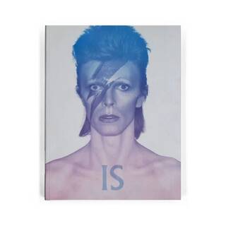 David Bowie Is – extended paperback edition exhibition book