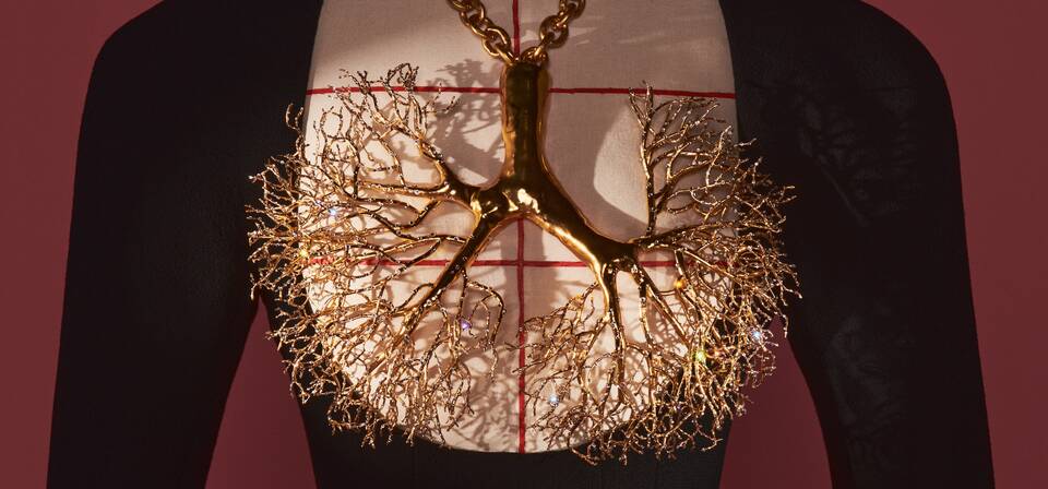 Members' Evening View: Schiaparelli: Fashion Becomes Art